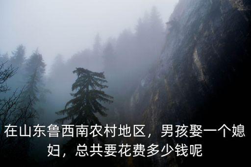 在山東魯西南農(nóng)村地區(qū)，男孩娶一個媳婦，總共要花費(fèi)多少錢呢