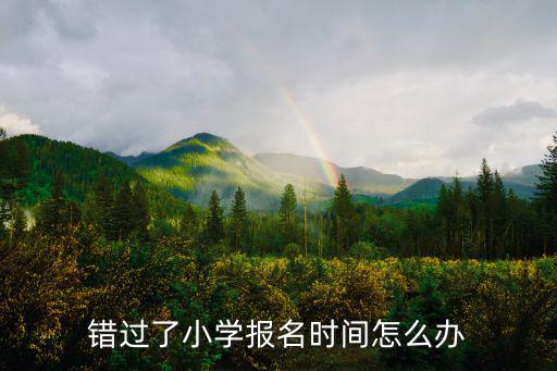 錯過了小學報名時間怎么辦