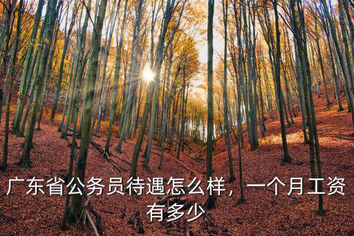 廣東省公務員待遇怎么樣，一個月工資有多少