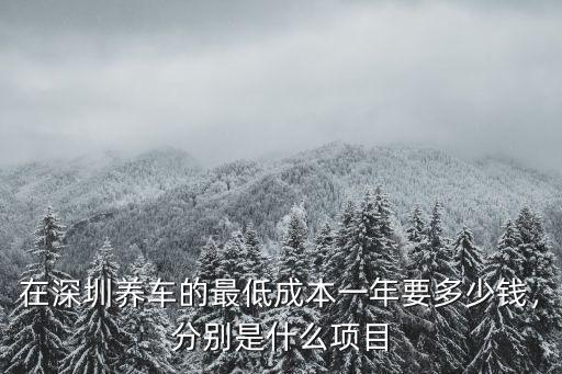 在深圳養車的最低成本一年要多少錢，分別是什么項目
