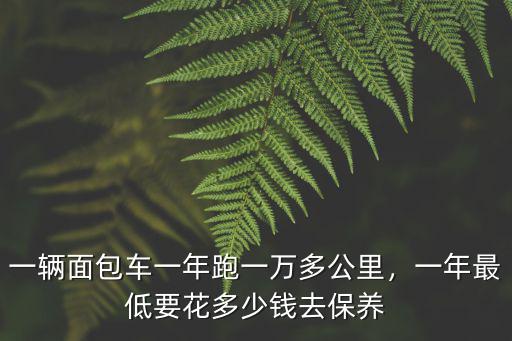 在東莞養一臺面包車一年要多少錢,一輛面包車一年跑一萬多公里