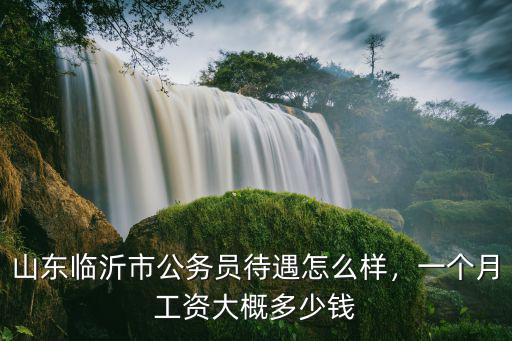 山東刑警一個月多少錢,山東臨沂市公務員待遇怎么樣
