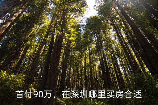深圳光明買房首付多少,深圳買房需要多少首付