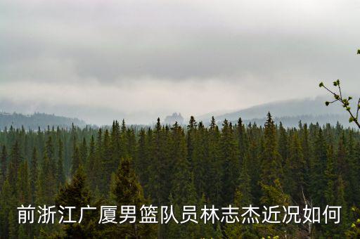 前浙江廣廈男籃隊員林志杰近況如何
