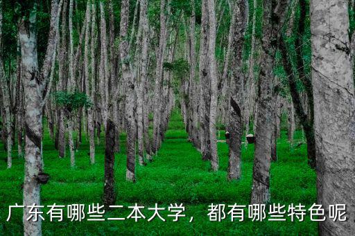 廣東有哪些二本大學，都有哪些特色呢