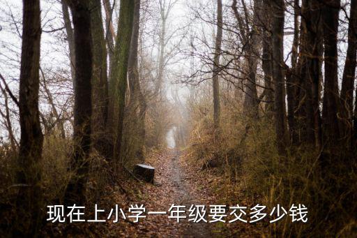 廣州雙橋小學學費多少錢,你們家小孩上小學多少錢