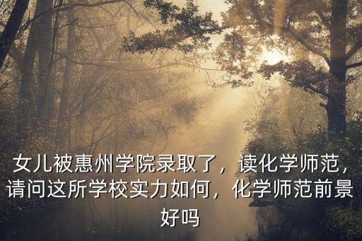 惠州四方學院多少分錄取,女兒被惠州學院錄取了