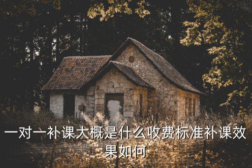 一對一補課大概是什么收費標準補課效果如何