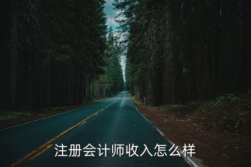 注冊會計師收入怎么樣
