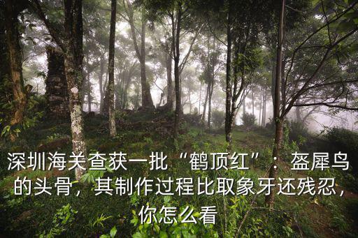 深圳海關查獲多少大金毛,深圳海關查獲疑似象牙