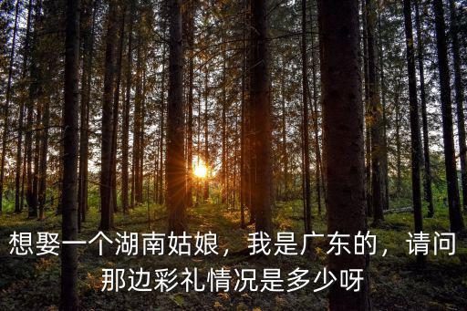 想娶一個湖南姑娘，我是廣東的，請問那邊彩禮情況是多少呀