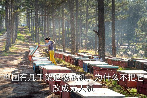 中國有幾千架退役戰機，為什么不把它改成無人機