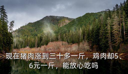 湛江徐聞家雞多少錢一斤,現(xiàn)在豬肉漲到三十多一斤