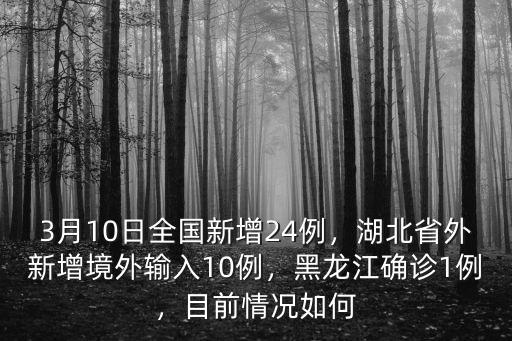 3月10日全國新增24例，湖北省外新增境外輸入10例，黑龍江確診1例，目前情況如何
