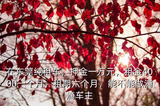 在東莞純租車，押金一萬元，租金4000一個月，租期六個月，能不能做滴滴車主
