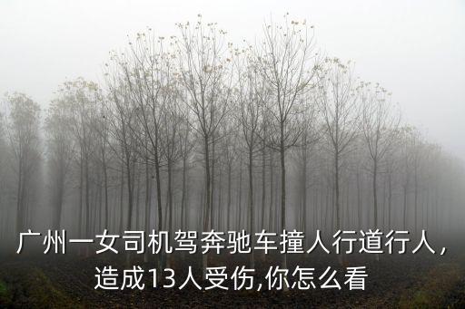 廣州一女司機駕奔馳車撞人行道行人，造成13人受傷,你怎么看