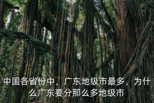 中國各省份中，廣東地級市最多，為什么廣東要分那么多地級市