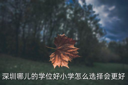 深圳育才三小學(xué)學(xué)位多少錢,深圳哪里的小學(xué)學(xué)位比較好