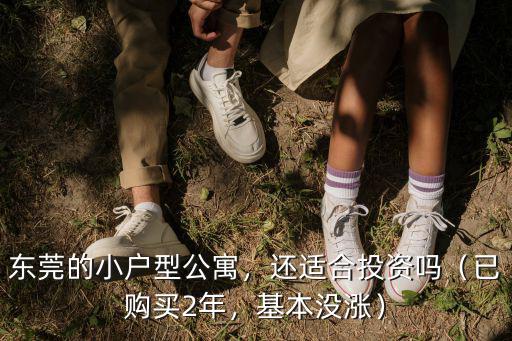 東莞的小戶型公寓，還適合投資嗎（已購買2年，基本沒漲）