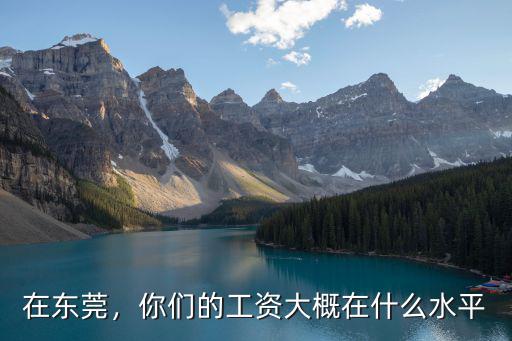 在東莞，你們的工資大概在什么水平