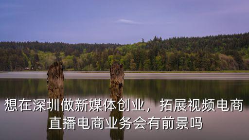 想在深圳做新媒體創業，拓展視頻電商 直播電商業務會有前景嗎