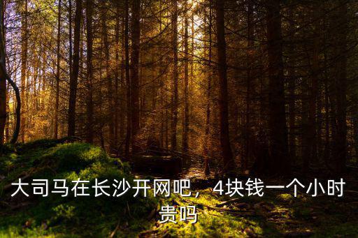 大司馬在長沙開網吧，4塊錢一個小時貴嗎