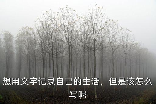 深圳生活記錄怎么寫,但是該怎么寫呢