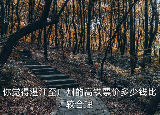 湛江到廣州的高鐵票價是多少錢,廣州南到湛江西的票價算貴嗎