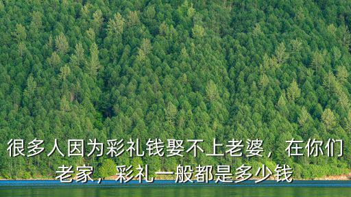 很多人因為彩禮錢娶不上老婆，在你們老家，彩禮一般都是多少錢