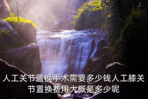 廣州關節置換術后遠程復健多少錢,人工膝關節置換術價格