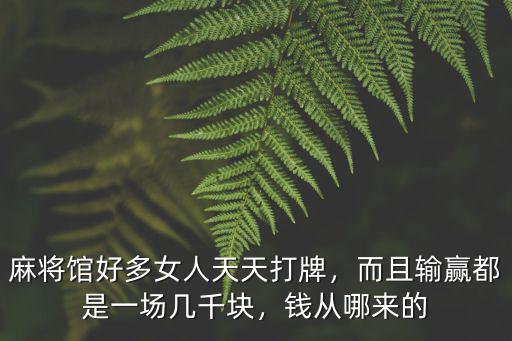 珠海一般麻將館年入多少錢,開麻將館要多少錢