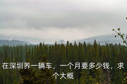 深圳汽修多少錢一個月,在深圳養一輛車