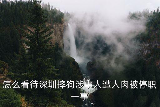 怎么看待深圳摔狗涉事人遭人肉被停職一事