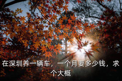 在深圳養(yǎng)一輛車(chē)，一個(gè)月要多少錢(qián)，求個(gè)大概