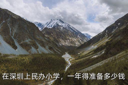 在深圳上民辦小學，一年得準備多少錢
