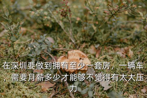 在深圳要做到擁有至少一套房，一輛車，需要月薪多少才能夠不覺得有太大壓力