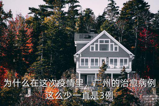 為什么在這次疫情里，廣州的治愈病例這么少一直是3例