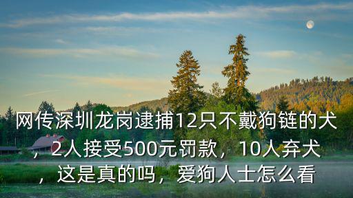 深圳狗傷人事件發(fā)生多少,發(fā)生寵物狗傷人事件