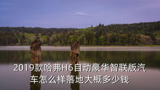廣東省智聯科技版落地多少錢,落地大概多少錢