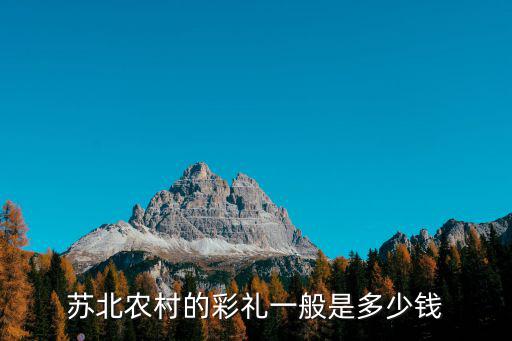 蘇北農村的彩禮一般是多少錢