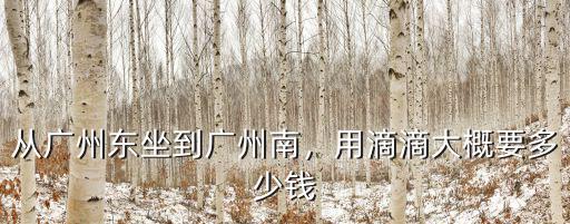 從廣州東坐到廣州南，用滴滴大概要多少錢