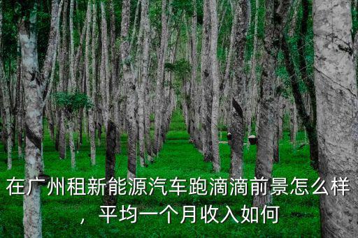 廣東滴滴一個月多少錢,一個月大概能跑多少錢