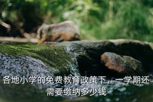 各地小學(xué)的免費(fèi)教育政策下，一學(xué)期還需要繳納多少錢