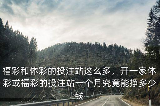 福彩和體彩的投注站這么多，開一家體彩或福彩的投注站一個月究竟能掙多少錢