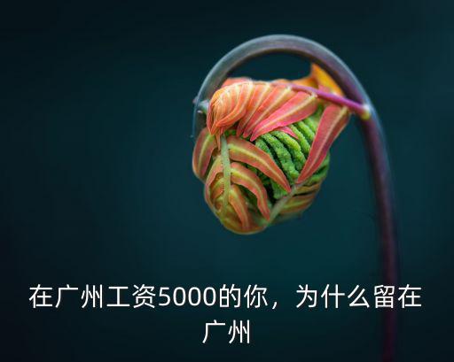 在廣州工資5000的你，為什么留在廣州