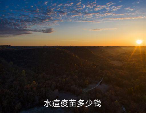 廣州市水痘疫苗多少錢,水痘疫苗多少錢