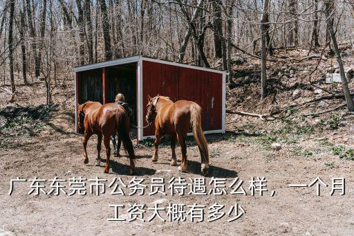 廣東東莞市公務(wù)員待遇怎么樣，一個(gè)月工資大概有多少