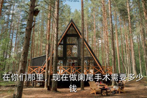 在你們那里，現(xiàn)在做闌尾手術(shù)需要多少錢