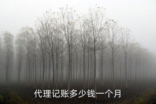 代理記賬多少錢一個(gè)月