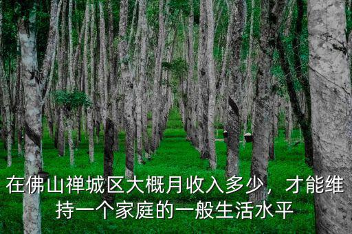 在佛山禪城區大概月收入多少，才能維持一個家庭的一般生活水平